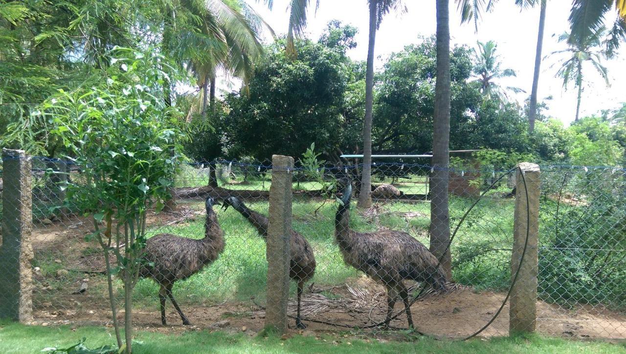 Mango Village Farm House Nelliyampathy Exterior photo